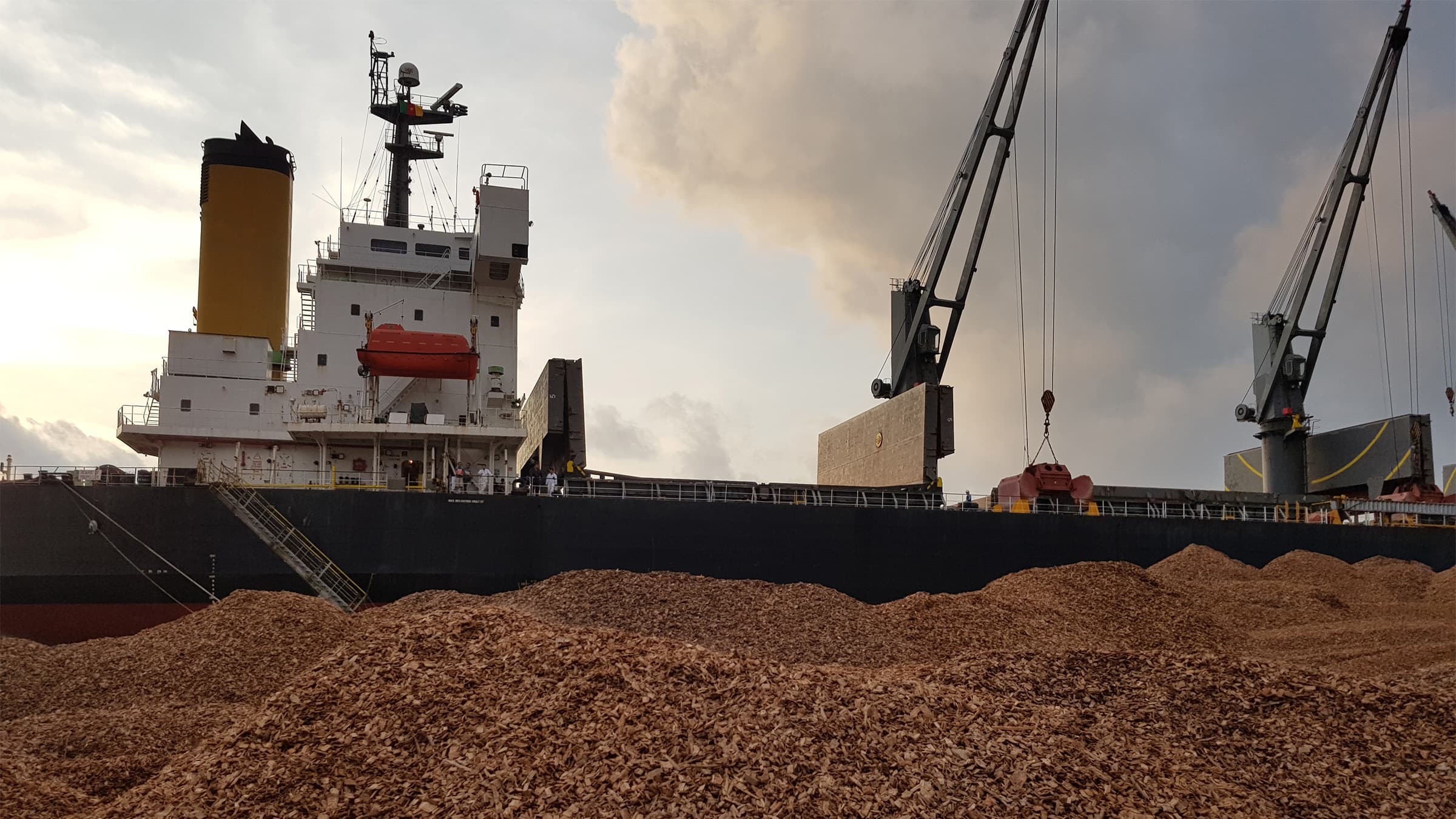 Handymax-class vessel interface reviewed during Central African biomass export diligence