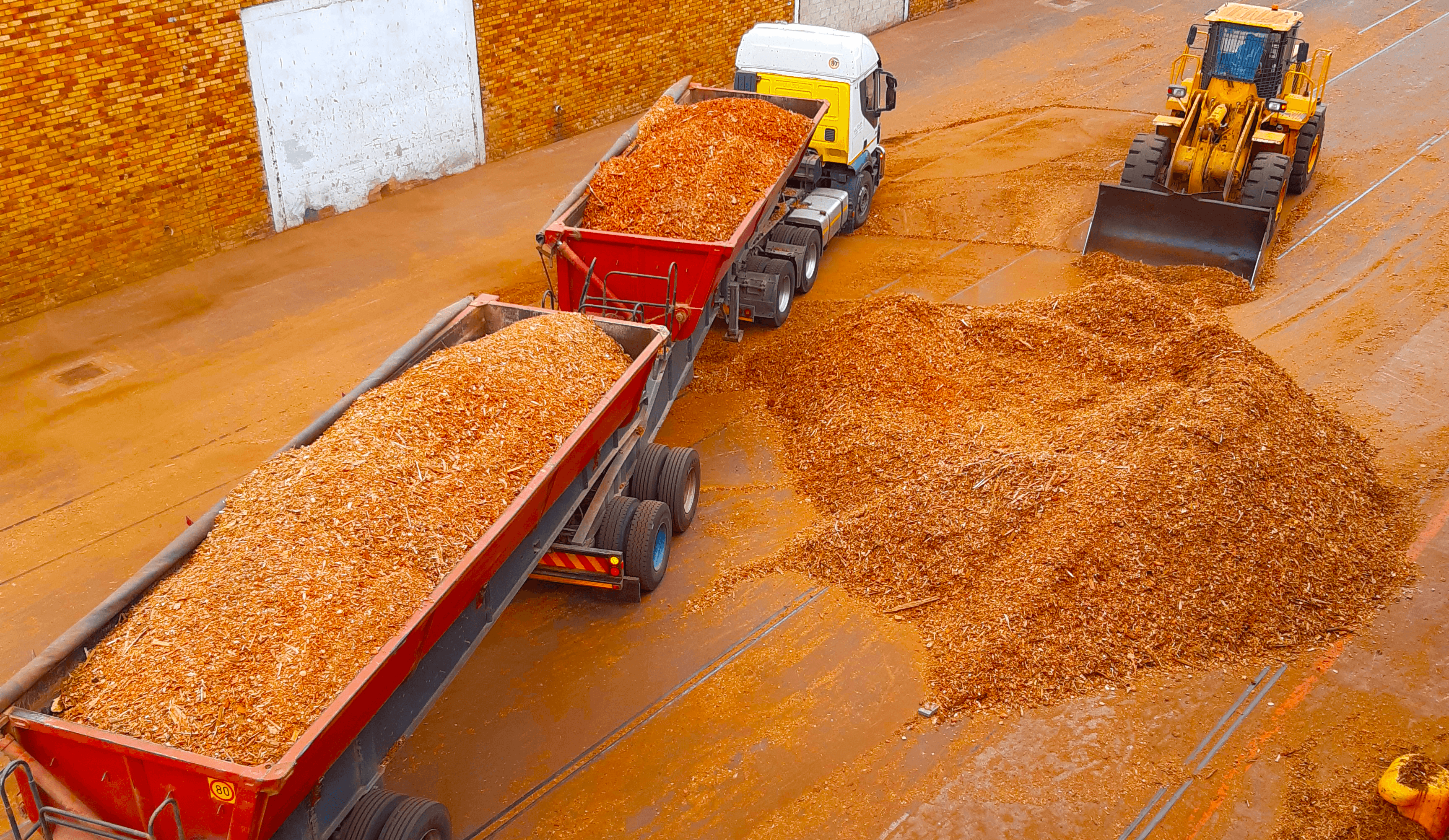 Truck unloading woodchip at quay side for port handling.