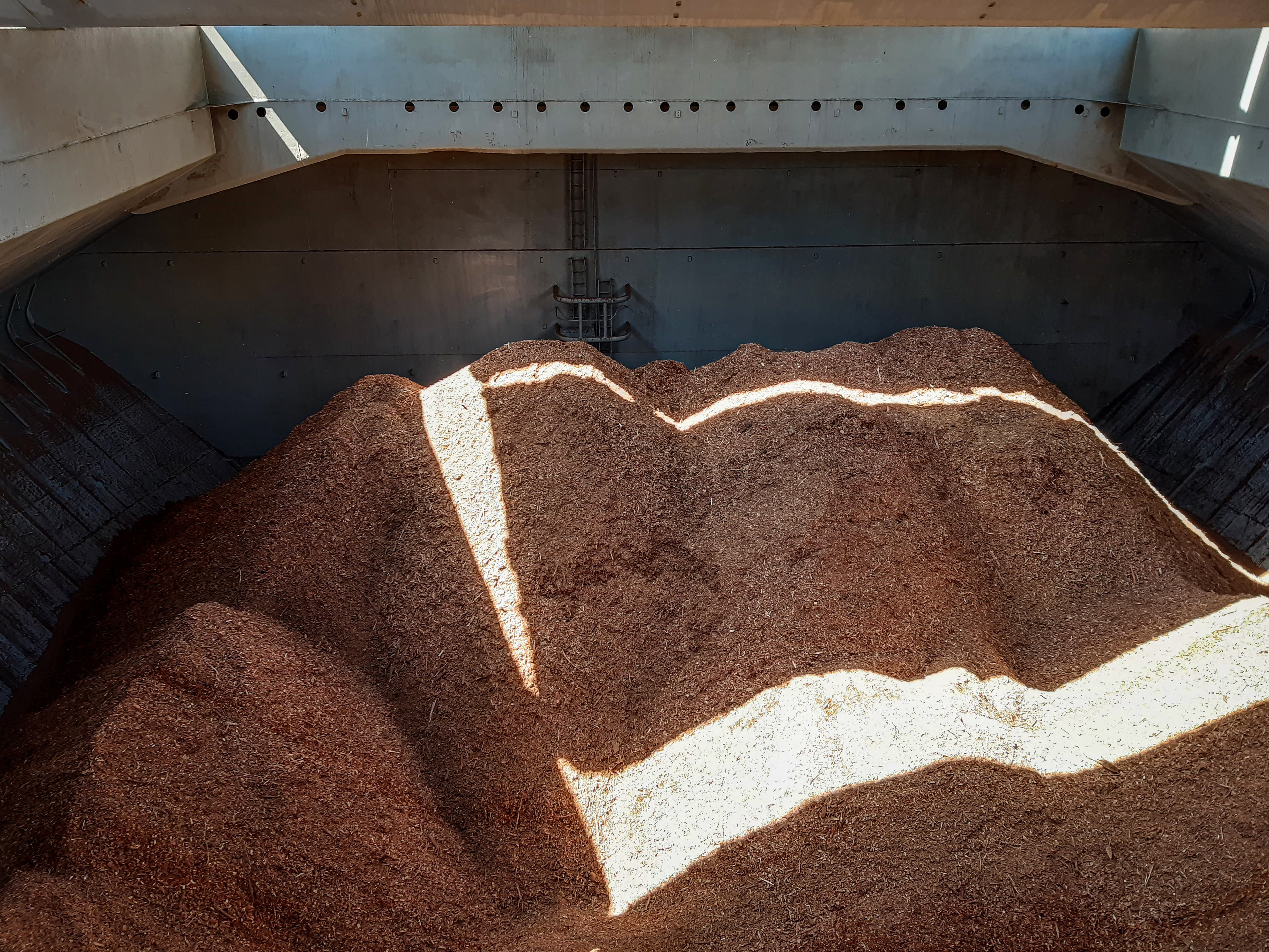 Woodchip loaded in the hold of a Handymax vessel.