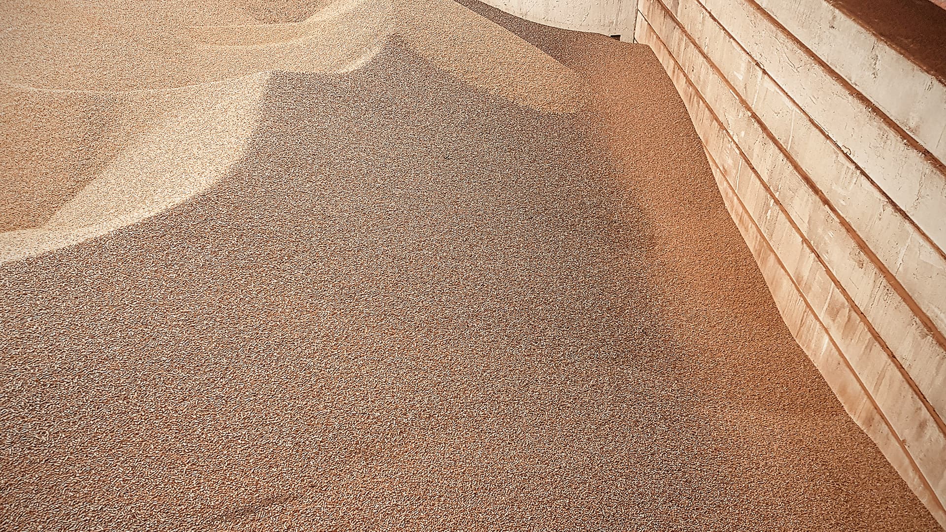 Baltic Sea pellet logistics — seasonal swap concept