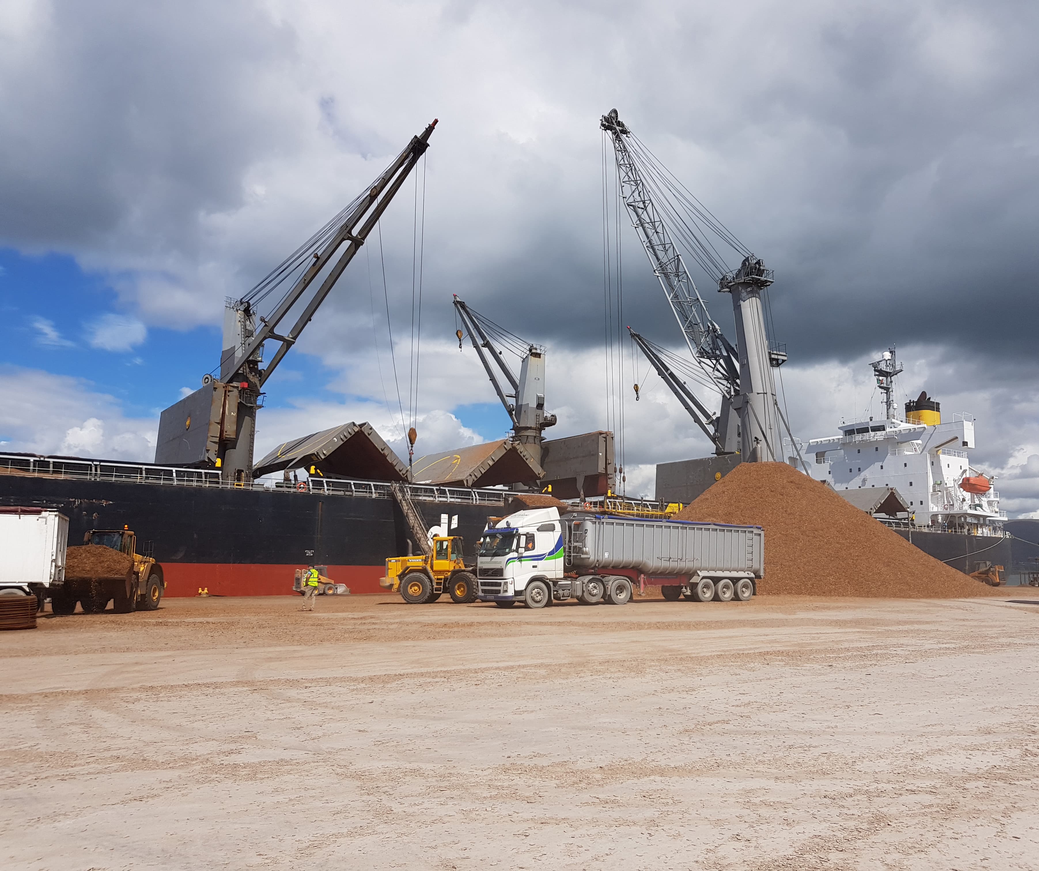 Australian woodchip being unloaded from a carrier at destination port.