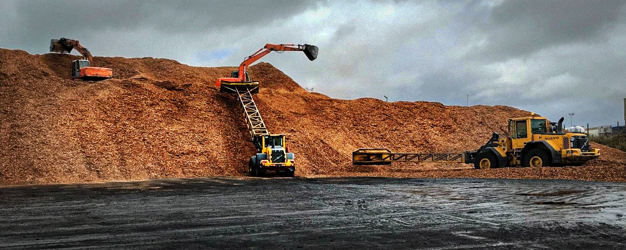 Eucalyptus woodchip stacked at quay side ready for onward truck dispatch.