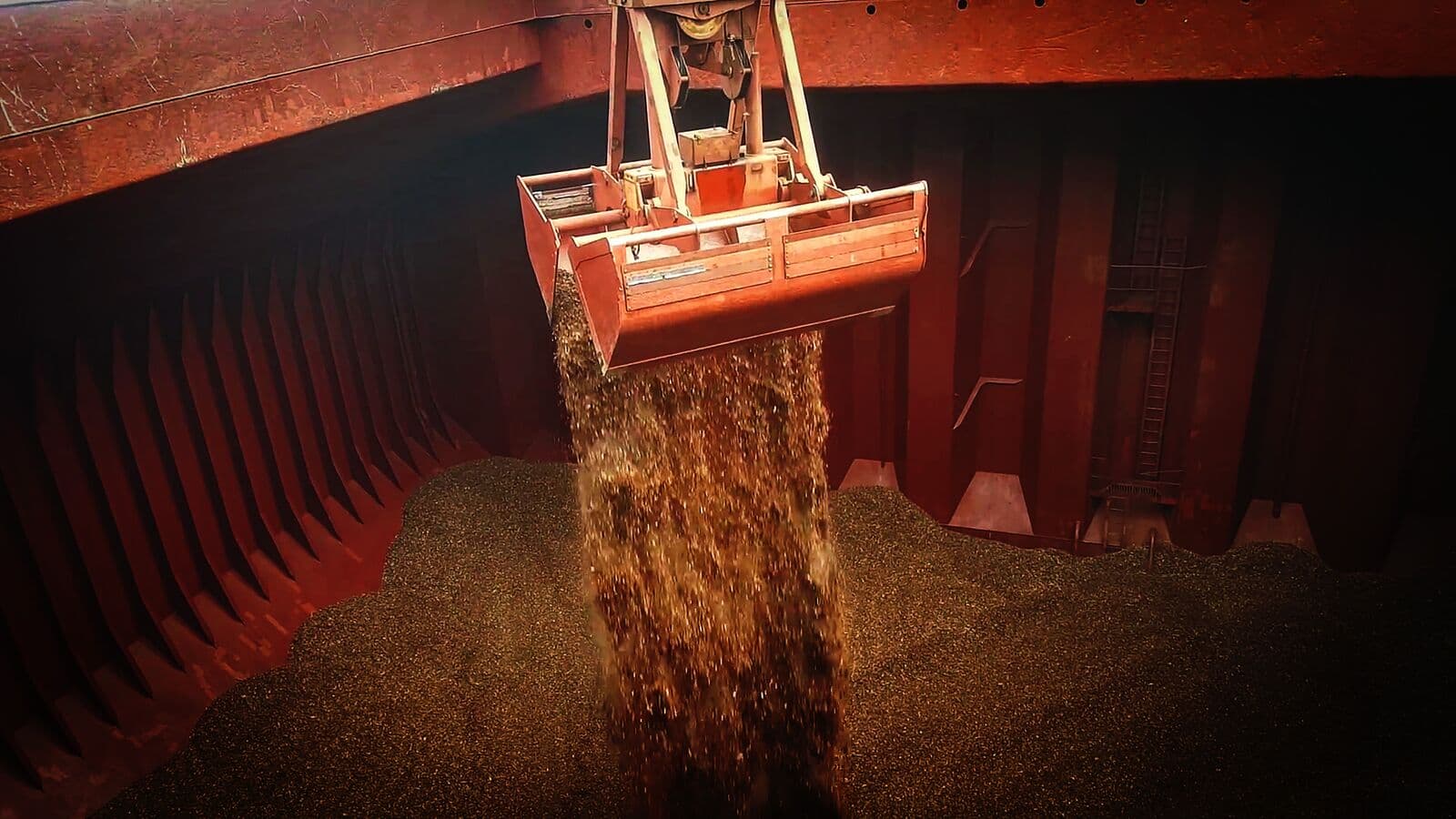 Biomass hold-loading practicality reviewed for buyer acceptance and shipment planning.