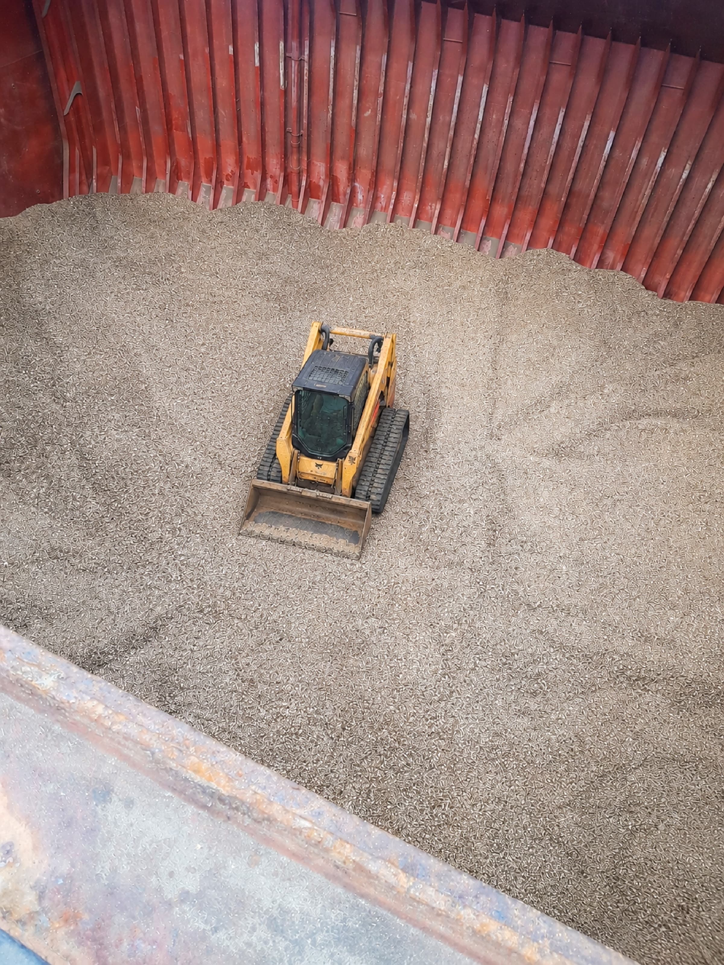 Biomass cargo trimming conditions reviewed inside a Handymax-class vessel hold.