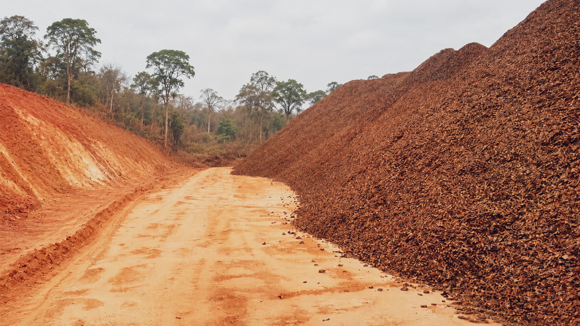 Biomass stockpile reviewed during origin-side supply-chain diligence in Central Africa.