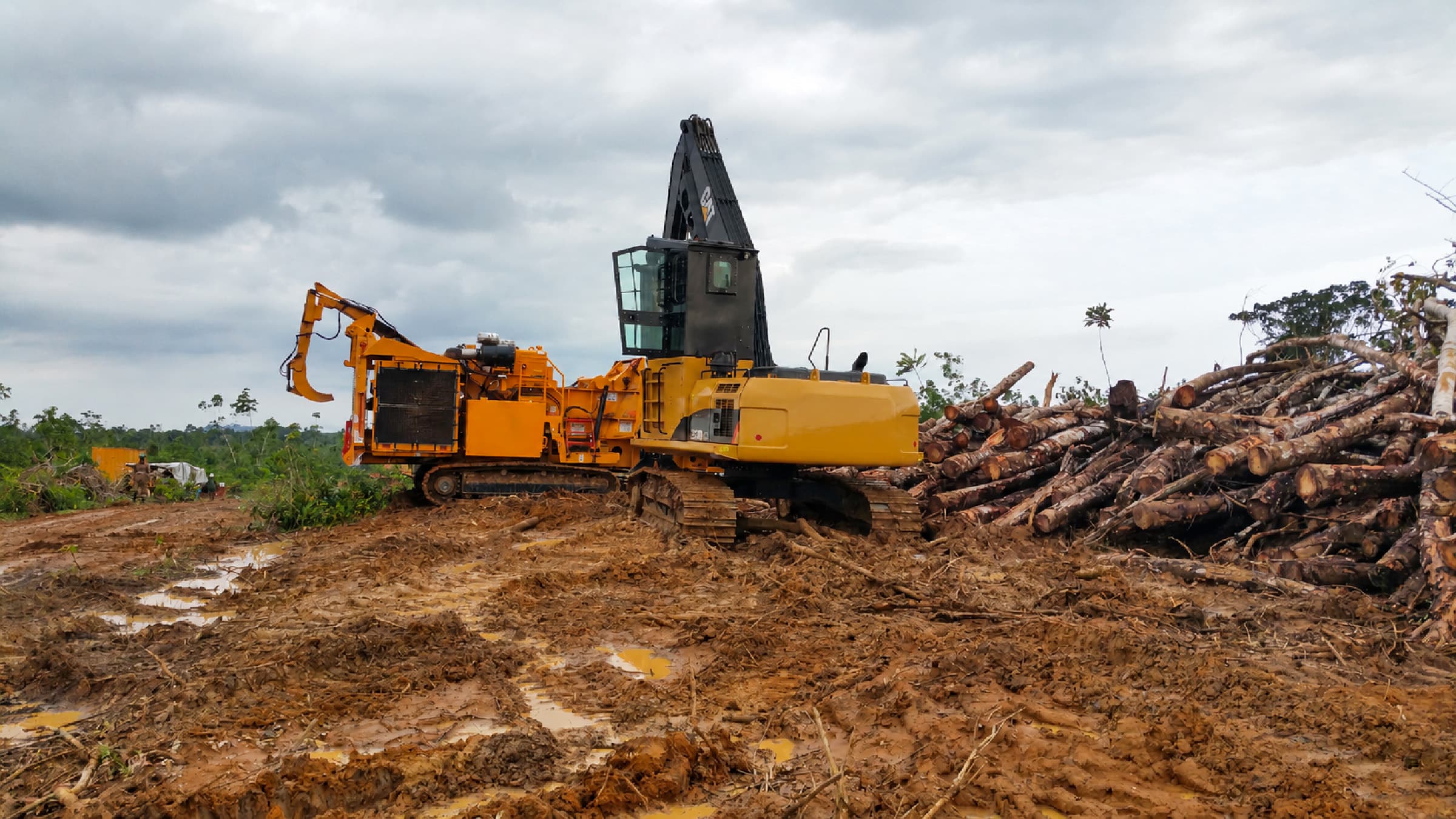 Woody residue preparation reviewed during Central African biomass supply-chain diligence.