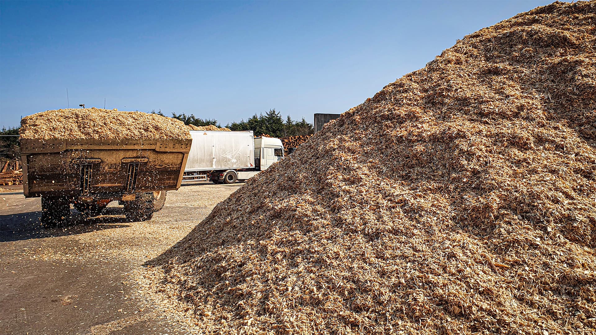 Tipper discharging residual woodchip beside large stockpile at deep-water yard